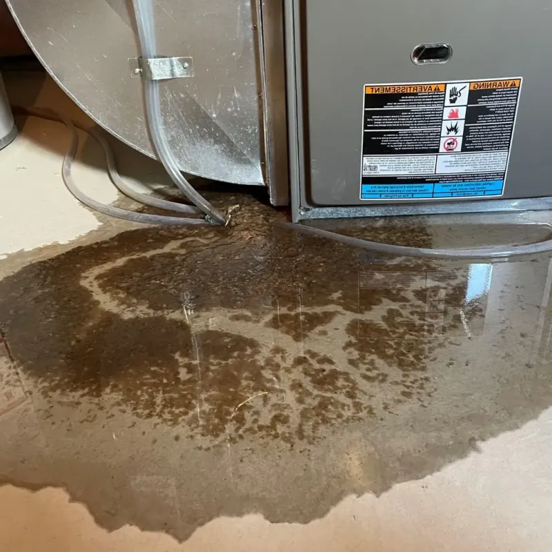 Pipe Burst and Leak Restoration in Tribes Hill, NY